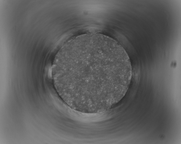 X0000112160046200908281414
