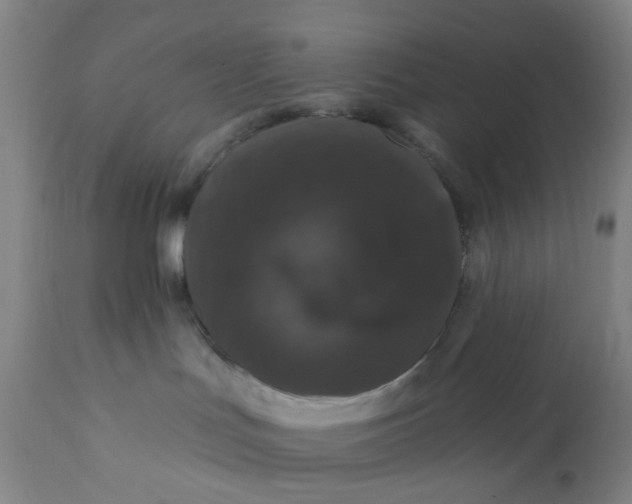 X0000112160047200908281414