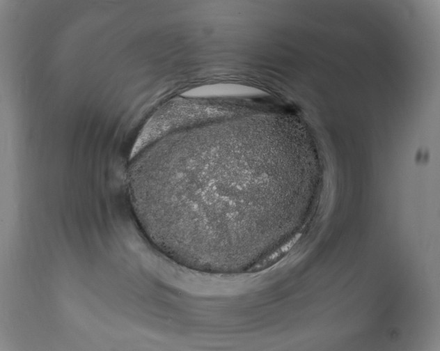 X0000112160048200908281414