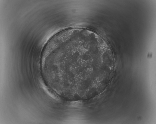 X0000112160050200908281414