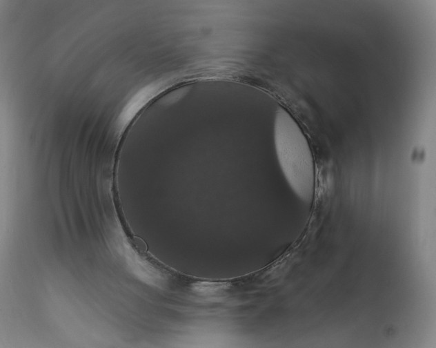X0000112160051200908281414