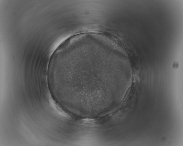 X0000112160052200908281414