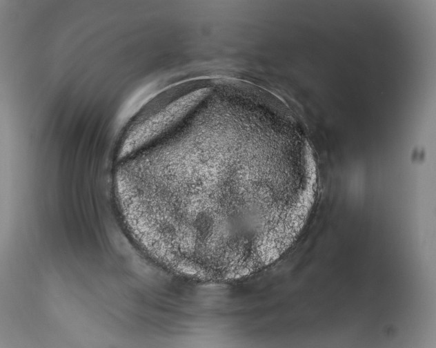 X0000112160053200908281414