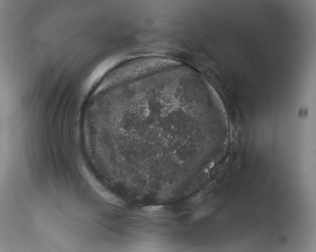 X0000112160054200908281414