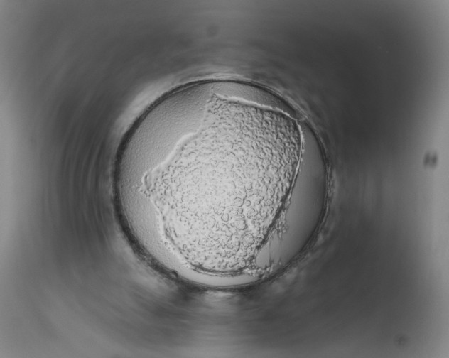 X0000112160055200908281414