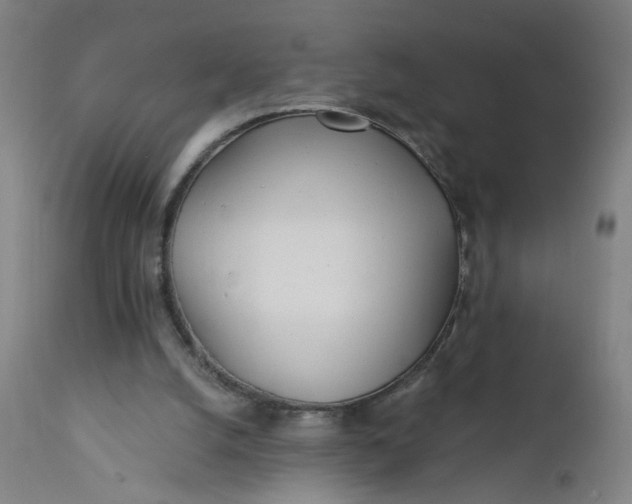 X0000112160056200908281414