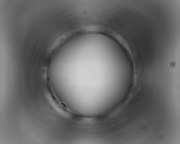X0000112160057200908281414
