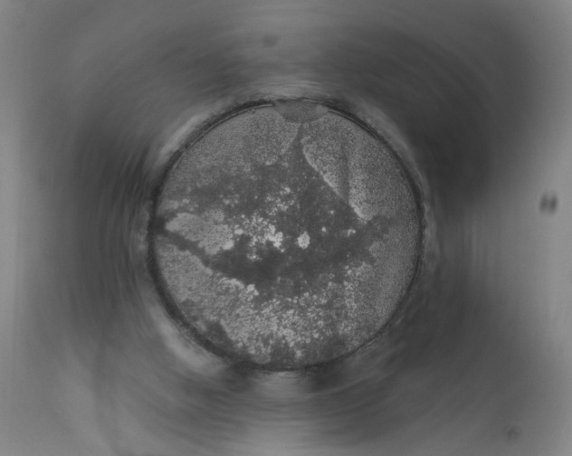 X0000112160058200908281414