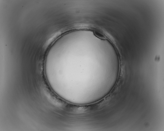 X0000112160059200908281414