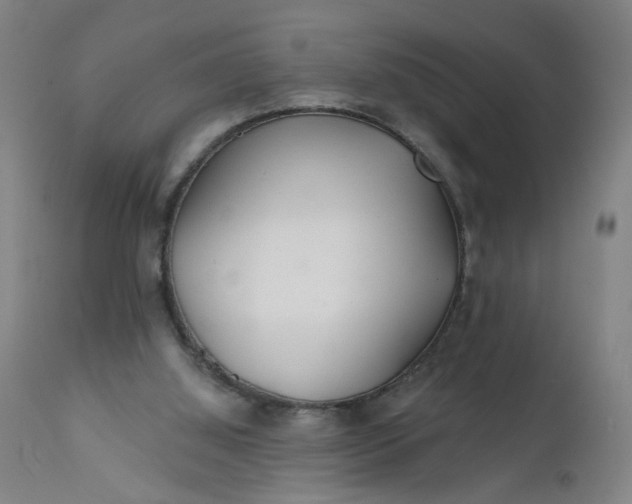 X0000112160060200908281414