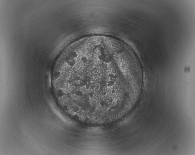 X0000112160061200908281414