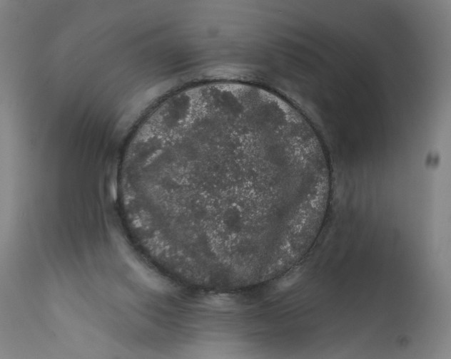 X0000112160062200908281414