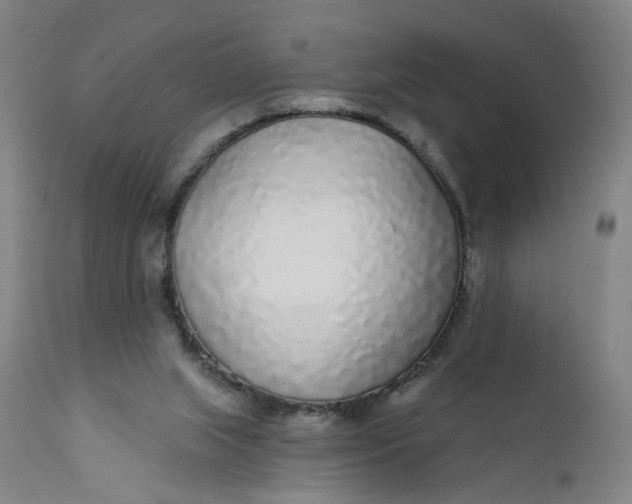 X0000112160063200908281414