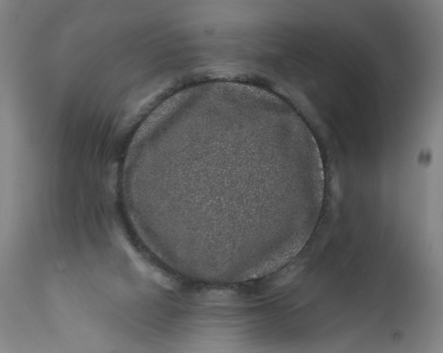 X0000112160066200908281414