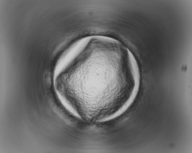 X0000112160067200908281414
