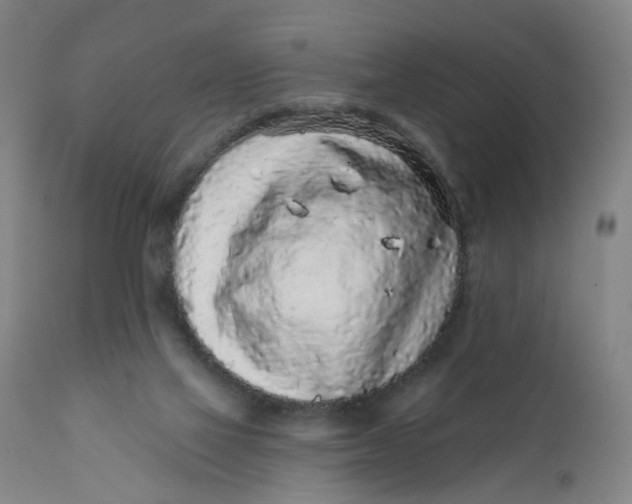 X0000112160069200908281414