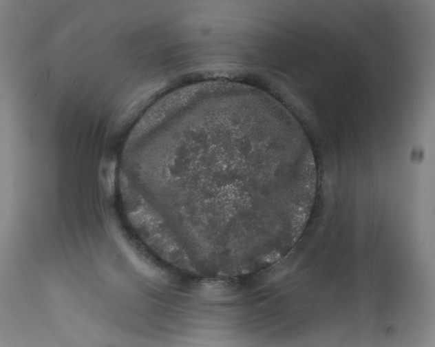 X0000112160070200908281414