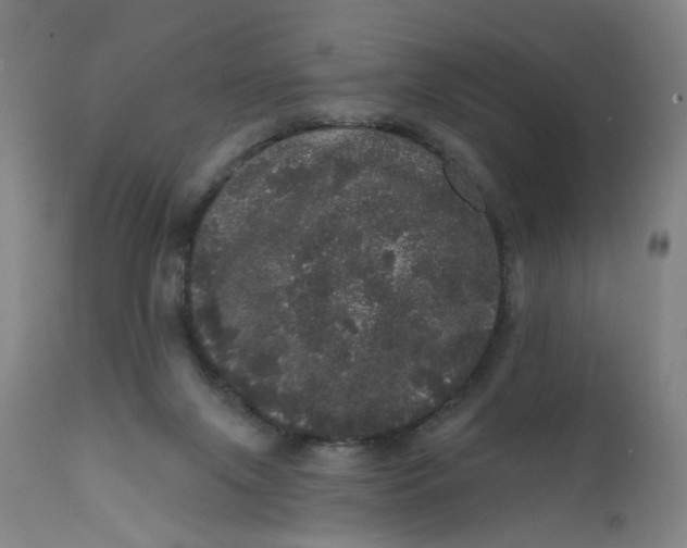 X0000112160071200908281414