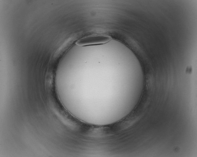 X0000112160072200908281414
