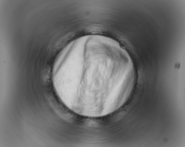 X0000112160073200908281414