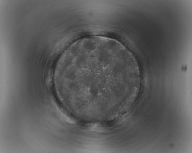 X0000112160074200908281414