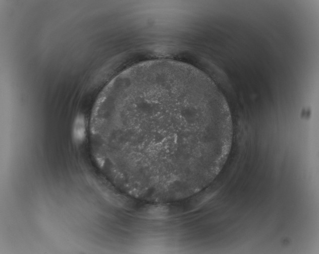 X0000112160075200908281414