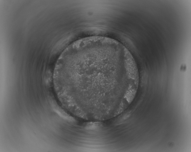 X0000112160077200908281414