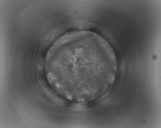 X0000112160078200908281414