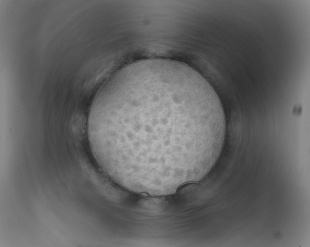X0000112160079200908281414