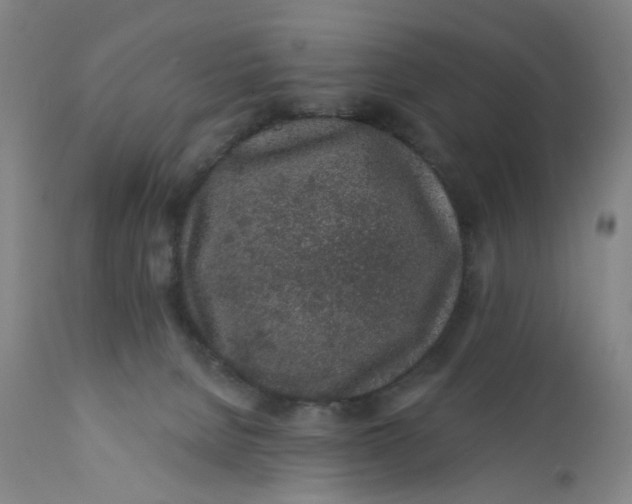 X0000112160080200908281414