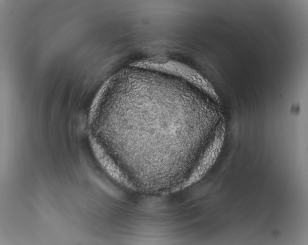 X0000112160081200908281414