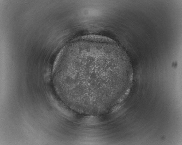 X0000112160082200908281414