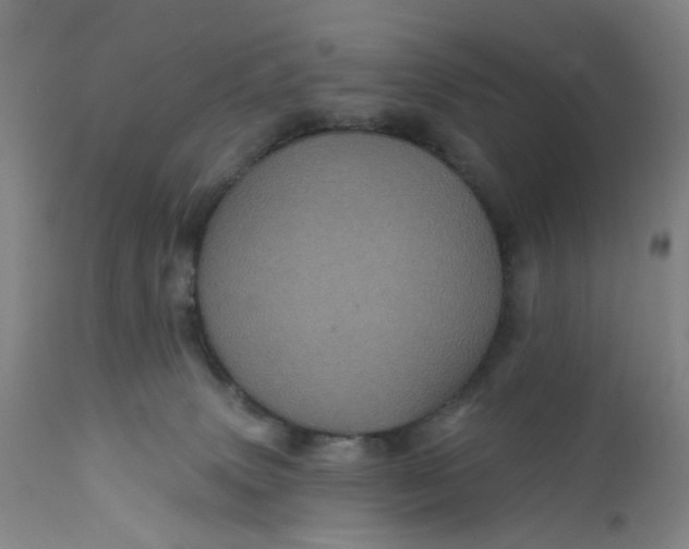 X0000112160083200908281414