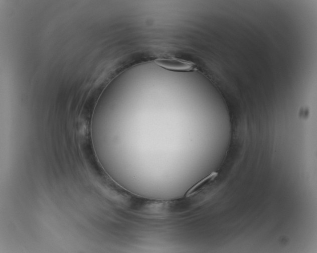 X0000112160084200908281414