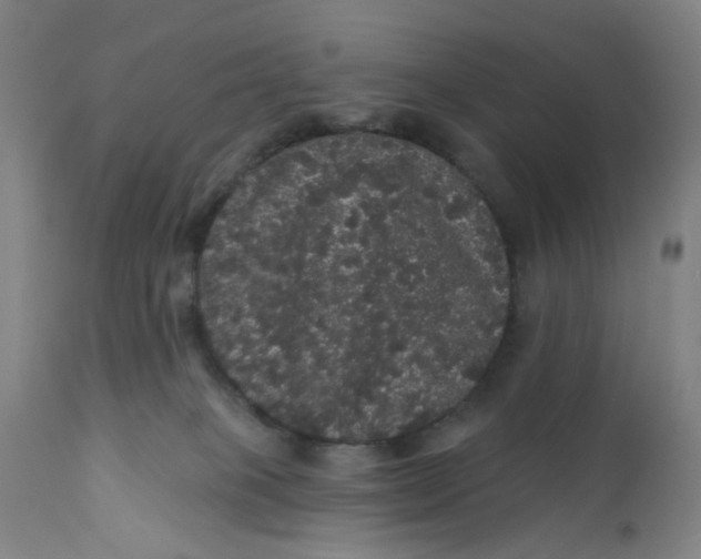 X0000112160085200908281414