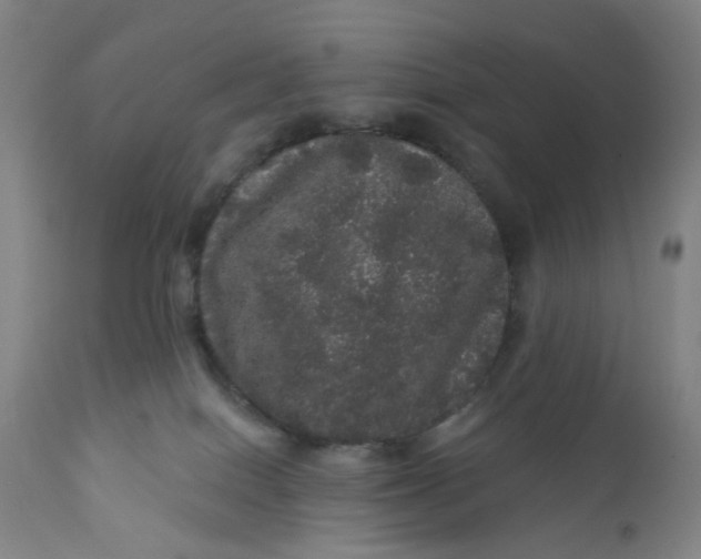 X0000112160086200908281414