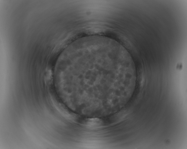 X0000112160087200908281414
