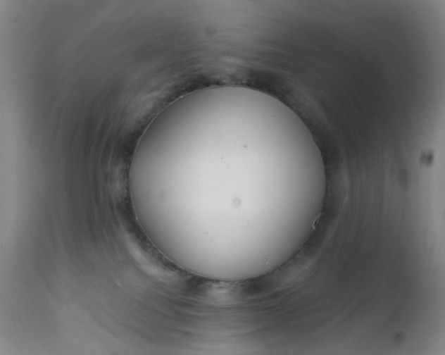 X0000112160088200908281414