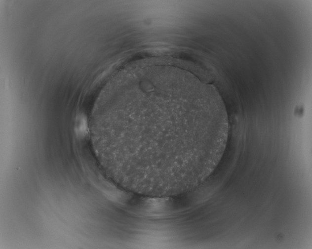 X0000112160089200908281414