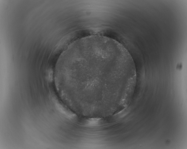 X0000112160090200908281414
