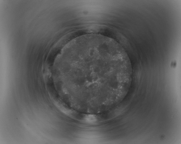X0000112160091200908281414