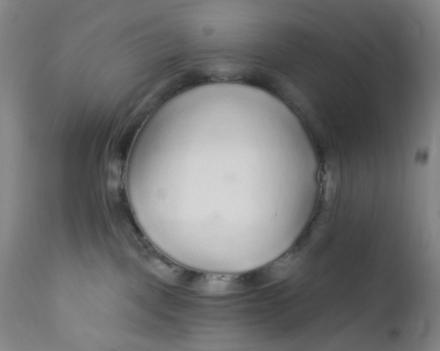 X0000112160093200908281414