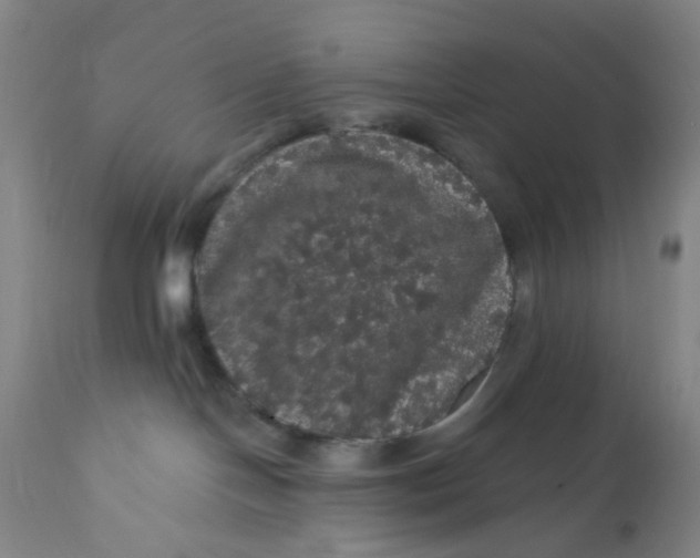 X0000112160094200908281414