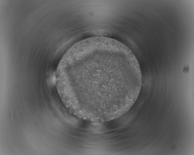 X0000112160095200908281414
