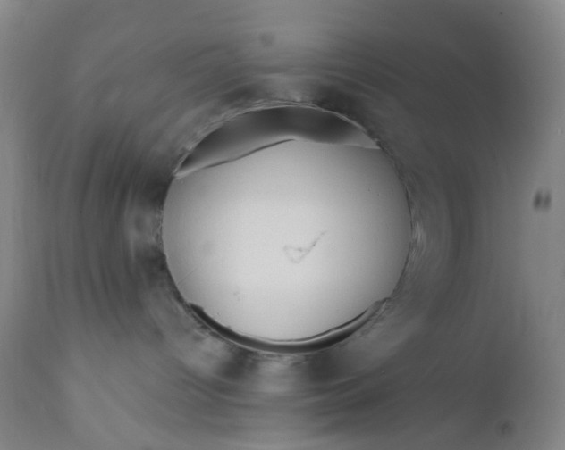 X0000112160096200908281414