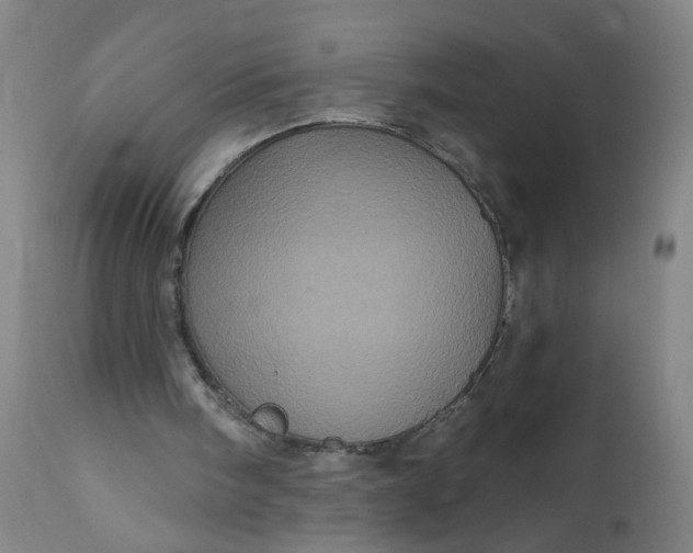 X0000112160098200908281414