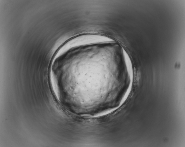 X0000112160099200908281414