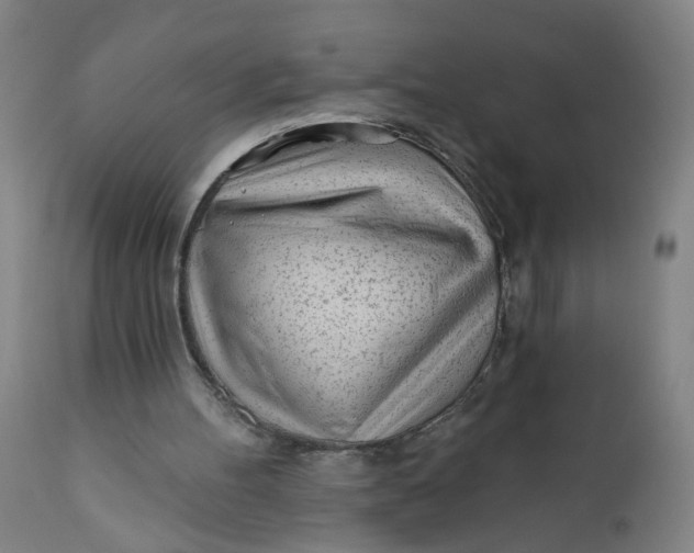 X0000112160100200908281414