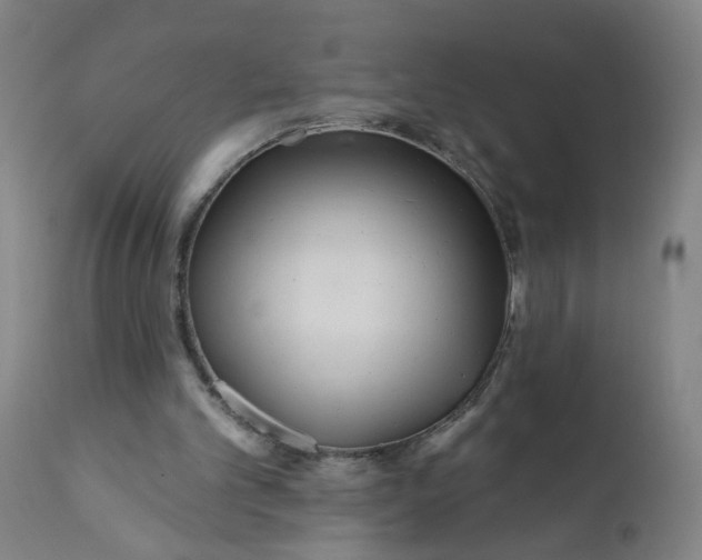 X0000112160101200908281414