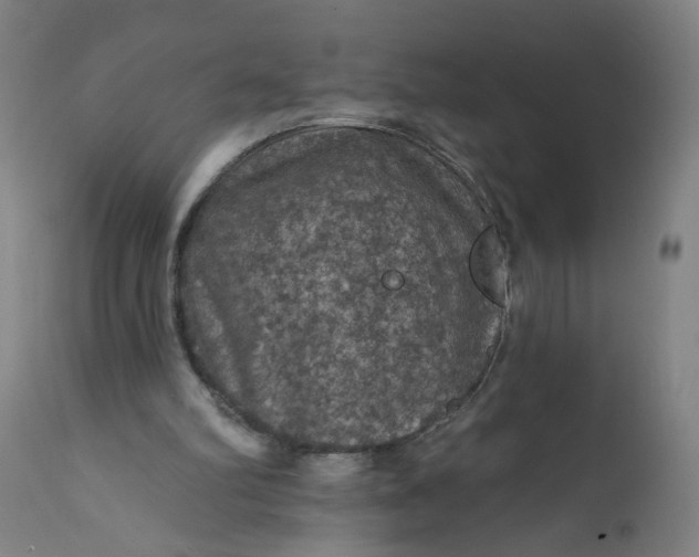 X0000112160102200908281414